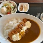 チキン南蛮カレー