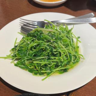 豆苗のさっぱり炒め(刀削麺・火鍋・西安料理 XI`AN（シーアン）後楽園店)