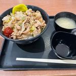 すた丼(伝説のすた丼屋 談合坂SA(下り線)店 )