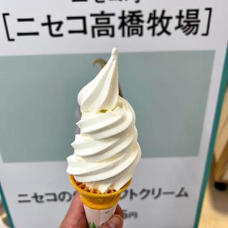 ニセコの牧場ソフトクリーム