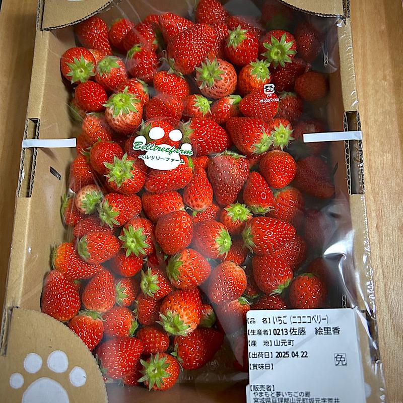 ニコニコベリー(やまもと夢いちごの郷 フードコート)