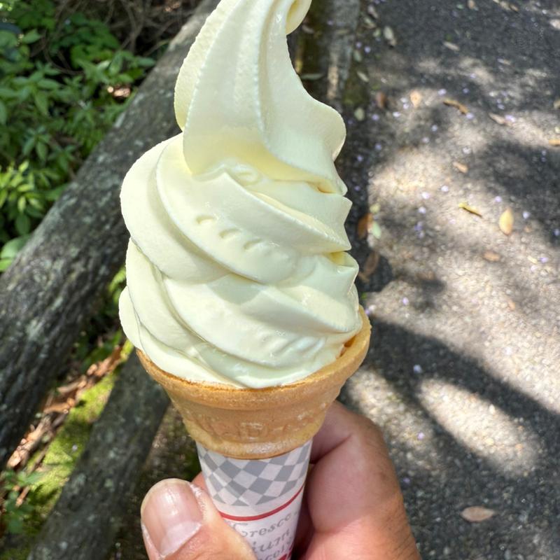 日向夏ソフトクリーム(高千穂峡 高千穂町観光協会直営売店 )