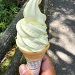 日向夏ソフトクリーム