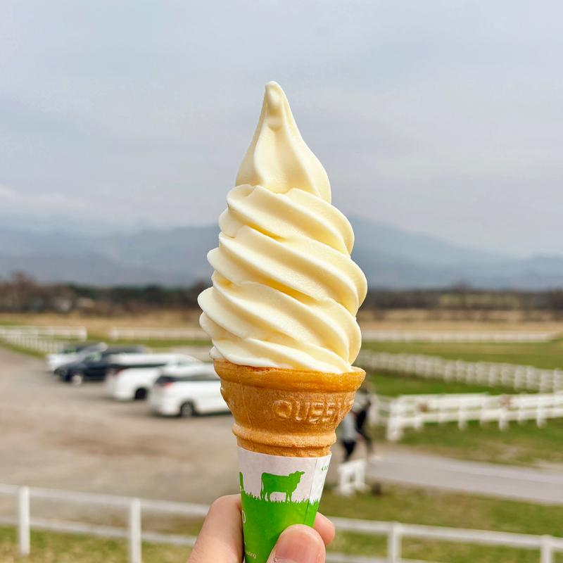 清泉寮ソフトクリーム(清泉寮)