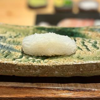 アオリイカ(鮨処一石三鳥)