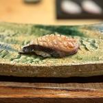 鰆