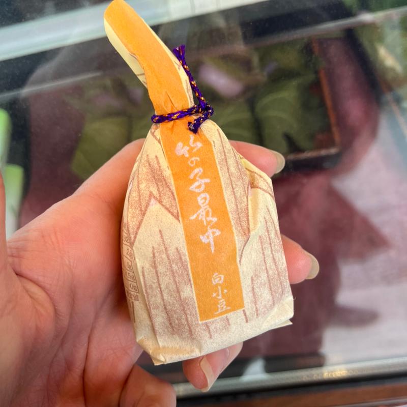 たけのこ最中(八條茶屋 )