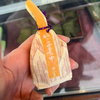 たけのこ最中