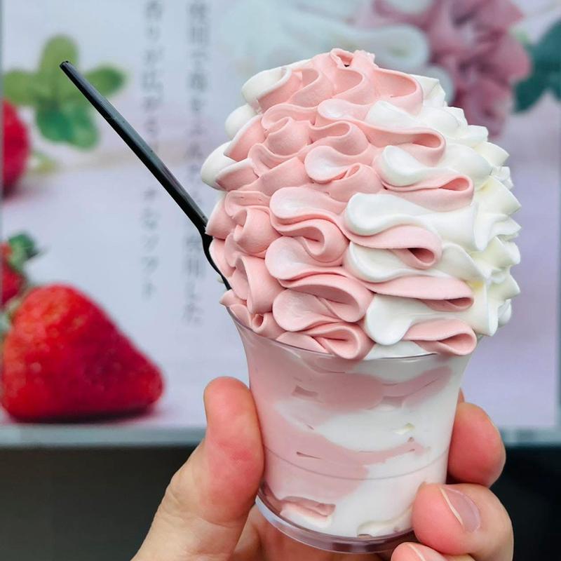 芸術ソフト 苺(KOMAGATAKE MILK 五稜郭駅前店)