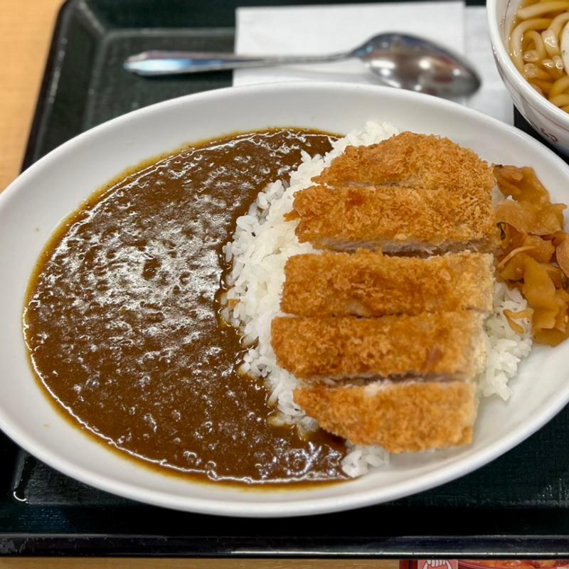 和風カツカレー(なか卯 すすきの西店 )