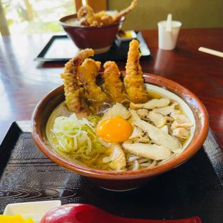 伍らい光そば　冷