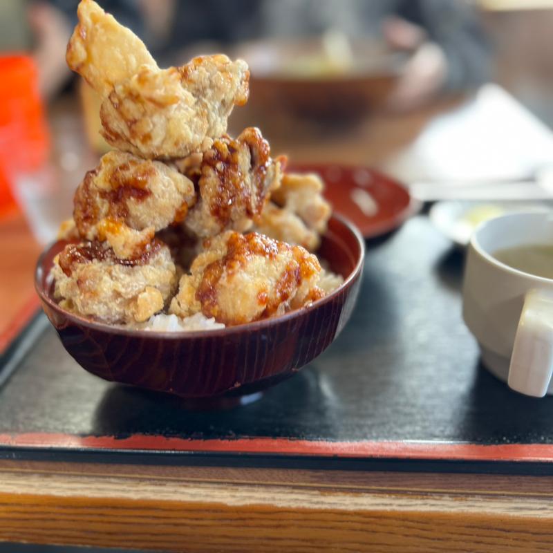 メガ唐揚げ丼(新宝来軒 )