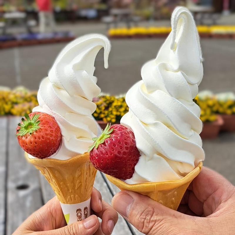 牛乳ソフトクリーム 苺(道の駅　湯の香しおばら　風物語　もみじ村 )