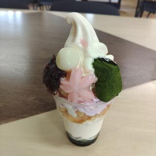 春の桜サンデー(OASIS B&B)