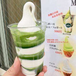 美濃白川抹茶アフォガード