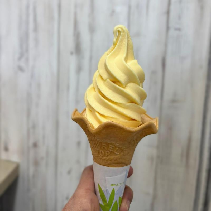 小田原みかんソフトクリーム(フードコート 小田原PA)