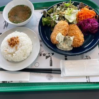日替わりランチ