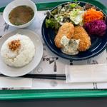 日替わりランチ