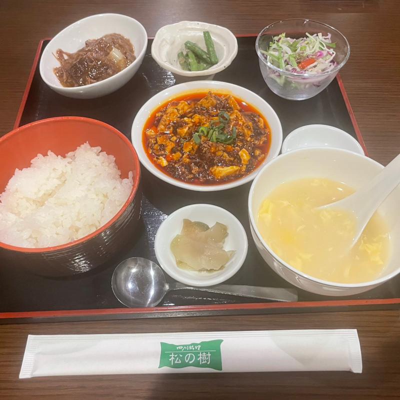 ランチスペシャル・ハーフ担々麺(松の樹)
