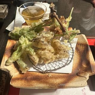 たらの芽、藤の花、舞茸、こごみの天ぷら(源流の宿　帆山亭)