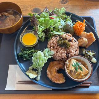酵素玄米菜食プレート(リソリソ プラス キッチン)