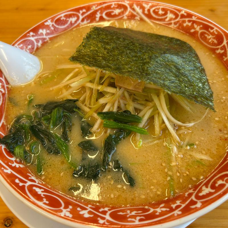 ネギ味噌ラーメン(ねぎっこ 西那須野店 )