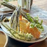 天ざるそば(手打ち蕎麦 小房)