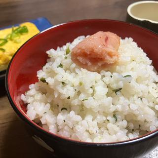 たらこ丼(白木屋 南海堺駅前店)