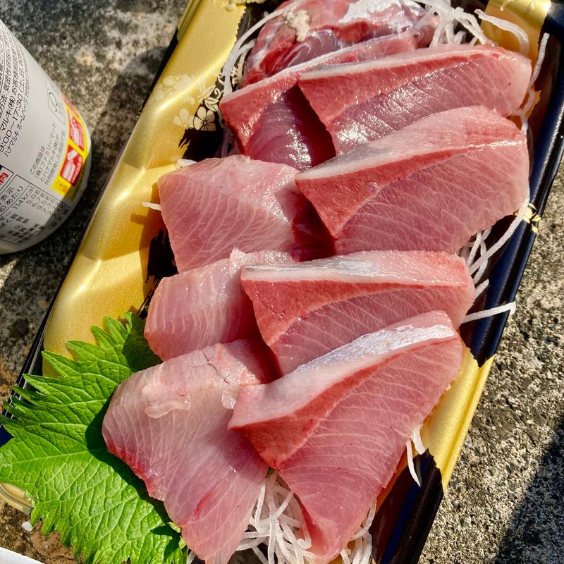 天然ブリ(若狭小浜お魚センター )