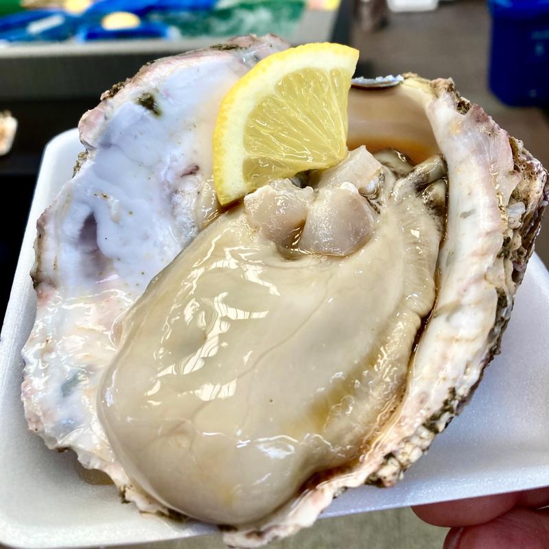 生牡蠣(道の駅舞鶴港とれとれセンター )