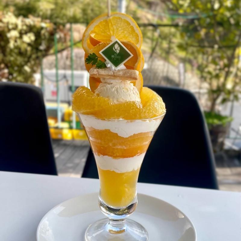 夏みかん(観音山フルーツガーデン／観音山フルーツパーラー 総本店)