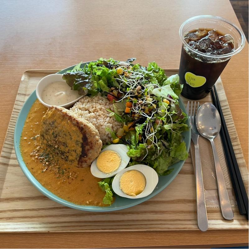 スパイスカレーがけハンバーグ(TIERRA LUZ VIENTO みのおキューズモール店)