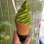 むせ抹茶