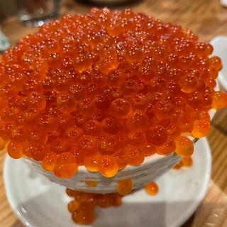 つっこ飯(海味はちきょう　いくら御殿)