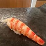 おまかせ(鮨くぼた)