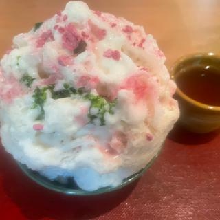 杏仁ナラノサクラ(ハルヒノ （春日野窯）)