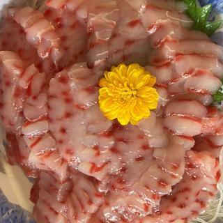 アカエイ