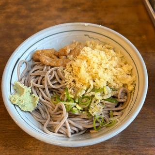 冷やしたぬき(シングル)