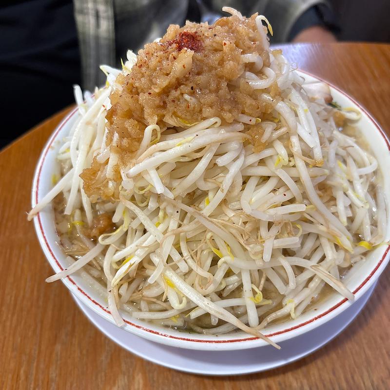 なおじ野菜ラーメン　大盛(なおじ 総本店 )