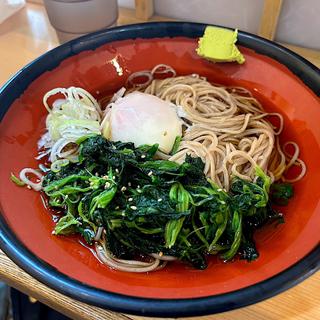 冷し朝そば　温玉・ほうれん草(そばの神田東一屋 本店 )