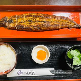 上蒲焼き定食(うなぎ処 柳栄館)