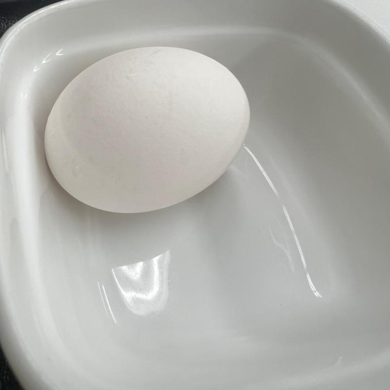 生卵(吉野家 ２５０号線西明石店)