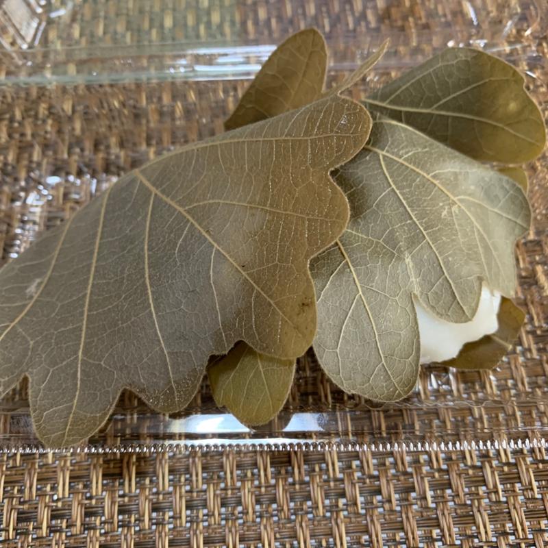 柏もち(つる瀬)