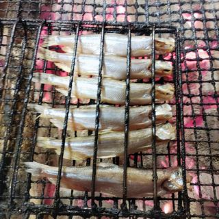 ししゃも(炉ばたカニ鮮 )