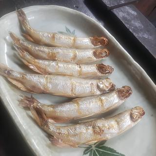 ししゃも