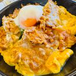 ヒレカツ丼 中盛り