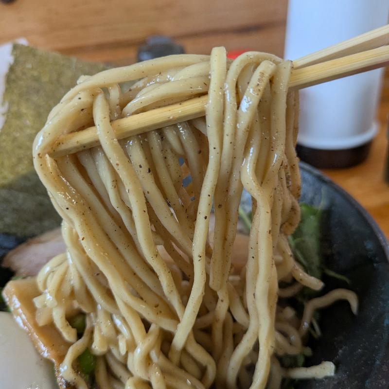 汁なし煮干そば（太麺）(じげん （Zigen）)