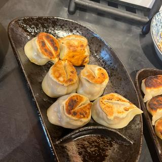 手包み特製焼き餃子(餃子中華酒場 鉢とれんげ)