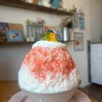 ルビーレッドヨーグルト(かき氷専門店「Blue Apple～shaved ice Cafe～（ブルーアップルシェイヴドアイスカフェ）」)