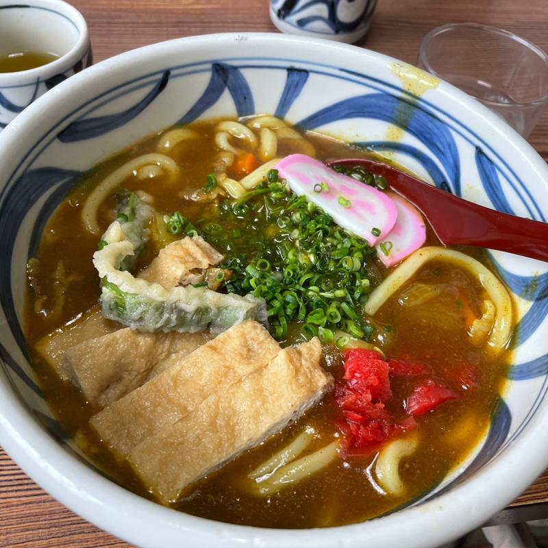 激辛カレーうどん(手打うどん　源内 （てうちうどん　げんない）)